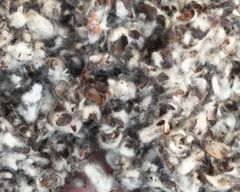 Cotton hulls( animal feed) – product photo 4, product detail gallery