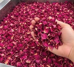 ROSE PETALS - Image 1