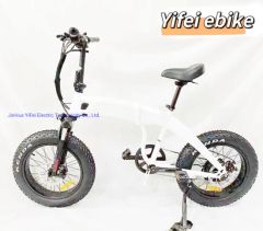 Manufature Magnesium Wheel Super Light Folding Electric Bike/Electric Bicycle/Ebike - JinHua YiFei Electric Technology Co., Ltd.
