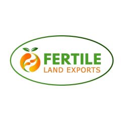fruits and vegetables - Image 1