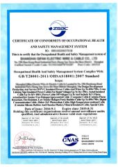 OHSAS certificate from SWAN Wire Engineering