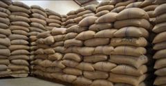 Cocoa Beans – product photo 3, product detail gallery