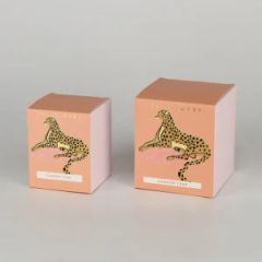 Sinicline AYPB-CELE-22 Custom Logo Foldable Beauty Cream Box Cmyk MOQ500 - Wuhan Sinicline Industry Co., Ltd.