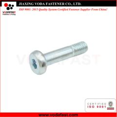 Customized Hexagon Socket Torx Pan Head Screw Zinc Plated - Jiaxing Voda Fastener Co., Ltd.