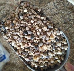 Natural Landscaping Red Color River Stone Pebbles - Image 5