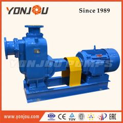Zx Self Priming Stainless Steel Ballast Pump - Image 3