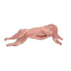 Fresh Frozen Rabbit Meat - Perfect for Cooking and Processing - Image 1