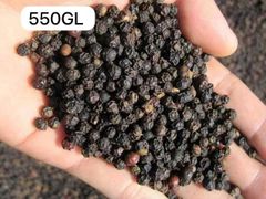 Black pepper gl 550 pure – product photo 4, product detail gallery