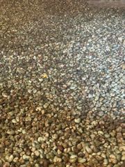 Raw Cashew Nut, Cashew NUT, RCN – product photo 2, product detail gallery