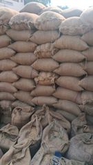 Non basmati rice – product photo 1, product detail gallery