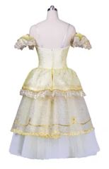 Professional Custom Size Fast Production Women Girls Gold Ballet Romantic Tutu - Image 2