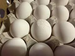 Fresh White Chicken Egs Wholesale Supply - Image 5