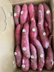 Sweet Potato Flavor Naturally Sweet Texture Smooth And Firm Harvesting Method Harvested At Peak Maturity Nutritional Content Rich In Vitamins, Minerals, And Dietary - Image 4