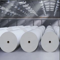 High Quality Reliable Packaging Needs PE Coated Cupstock Paper - Ningbo Sure Paper Co., Ltd