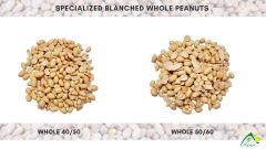Blanched Peanut 5060, Blanched Peanut 50 60,Peanut, Peanuts, Arachis hypogaea, Blanched Peanut Whole 5060 , Blanched Peanuts Whole, Blanched Peanut Kernels, Blanched Peanuts , Indian Blanched Peanut, Indian Blanched Peanut, Peanuts Kernels, Peanut With Shell, Peanuts, Indian Peanut, Blanched Peanut Supplier From India. - Image 2
