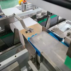 Full Automatic Box Case Carton Sealing Cartoning Machine for Bulk Gloves - Image 3