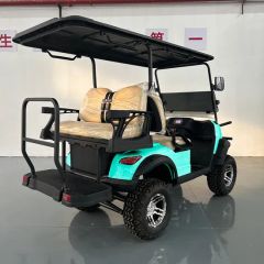 Cheap Custom Golf Cart Electric Golf Buggy Golf Equipment Seats 3-4 OEM Support Origin China Power 600-1700W Model NO. WT 2+2 - Image 2