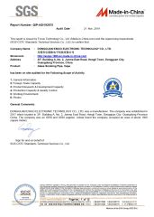 SGS System certificate from Guangxi Esigo Technology Co., Ltd.(Dongguan Branch)