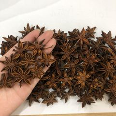 Vietnam Spring/ Autumn Star Anise - Image 3