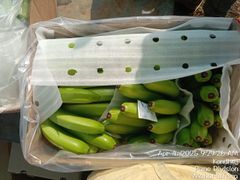 CAVENDISH BANANA – product photo 3, product detail gallery