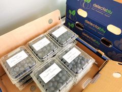 Premium Fresh Blueberries from South Africa for Exports! Class 1 export quality professional packing - Image 6