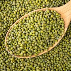Fresh green Mung Beans natural and healthy top Mung Beans available in large quantity with fast shipping - Image 5