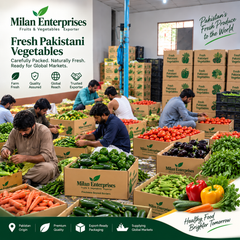 Factory and warehouse – gallery group cover, supplier detail gallery