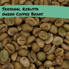 Green Robusta Coffee Beans Washed & Natural | High Caffeine Wholesale Screen 15, 16, 18 Robusta - Image 2