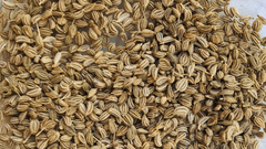 Ajwain - Image 1