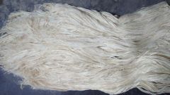Pineapple Fiber - Image 3