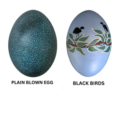 Edible emu eggs bulk trade - Image 4