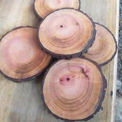 HOT SELLING Eco Friendly Wood Panel Coaster | Natural Smooth Solid Slice Board Bulk Export - Image 4