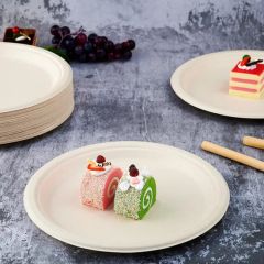 High Quality Compostable Paper Disposable Sugarcane Tableware - Image 4