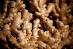 Fresh Ginger - Image 4
