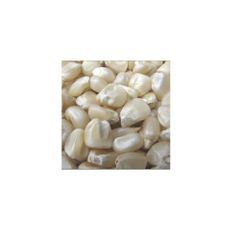 High Volume Corn Supply frozenchickenexports.com - Image 1