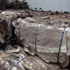 Donkey Hides, High Quality, Wholesale Bulk Supply, Affordable Cheap Prices - Image 1