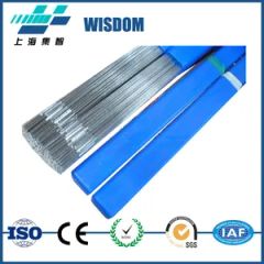 FM61 TIG ERNi-1 1.6mm 1000mm 1Y DC No Coat Alkaline ASTM Aws ISO9001 MOQ5Kg - Wisdom Import & Export (Shanghai) Co., Ltd.