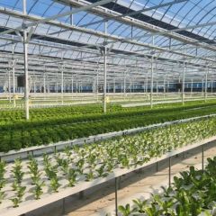 China Hydroponics Nft Pipe Accessories Hydroponic Fertilizer Automated Nft Systems - Image 2