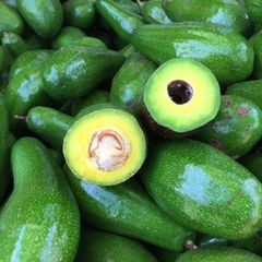 Wholesale Fresh Avocados Tropical Fruits and Vegetables from Viet Nam Best Price with Free Taxes – product photo 4, product detail gallery
