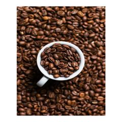 New Arrival Robusta Coffee green fresh beans for original Aroma Flavor and Taste Buy Now From India - Image 3