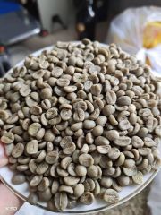 Arabica Coffee Beans Bulk Supplier Export Quality | Grade AA & AB Top Quality Green Coffee Bean - Image 2