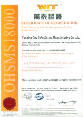 OHSAS18001 certificate certificate from Yueqing Dofo Spring Manufacturing Co., Ltd.