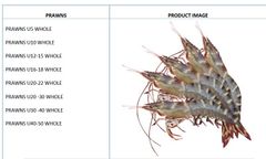Shrimps – product photo 1, product detail gallery