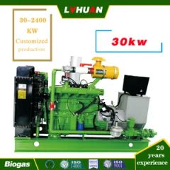 240kw/300kVA 400V/6.3kv/10.5kv Biogas Gas Gngine Generator 6190 Engine Export to Russia Kazakhstan Biogas Plant - Image 4