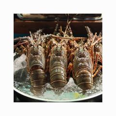 Lobster - Image 1