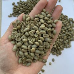 GREEN COFFEE BEANS Aroma Earthy Body Full Body Admixture 0.5% Max Foreign Matter 0.5% Max Moisture Content 13% Max Screen 13 Pass Rate 90% Min - Image 1