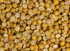 Toor Dal - Image 6