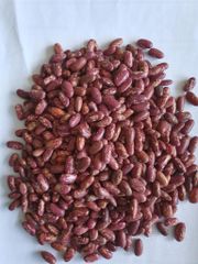 High Quality Red Speckled Beans Natural Whole Seeds Clean Fresh Dried Protein Rich Pulse Perfect For Healthy Diet Cooking And Food Processing Industry Buy Today Fast Delivery Premium Quality Wholesale - Image 5
