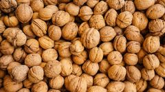 Premium Quality Walnuts – In-Shell & Kernels | Export Grade | Bulk Supply – product photo 2, product detail gallery