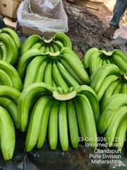 Fresh G9 Cavendish Banana from India – product photo 3, product detail gallery